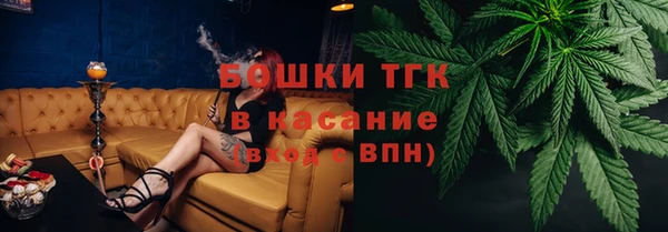 твердый Дмитриев