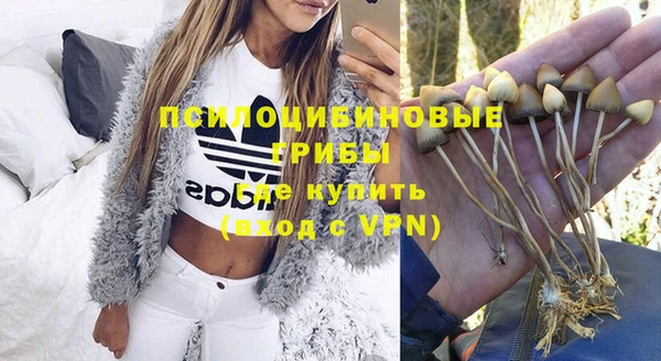 кристаллы Дмитров