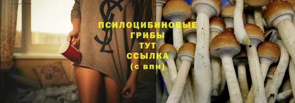 кристаллы Дмитров