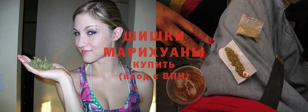 твердый Дмитриев