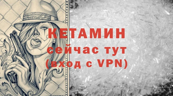 твердый Дмитриев