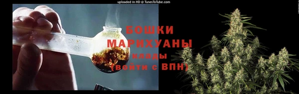 твердый Дмитриев