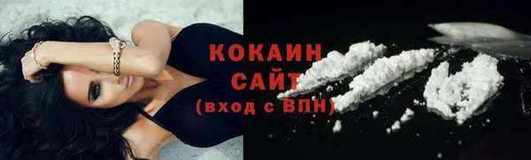 твердый Дмитриев