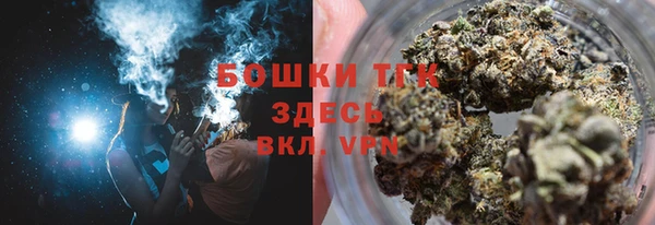 твердый Дмитриев