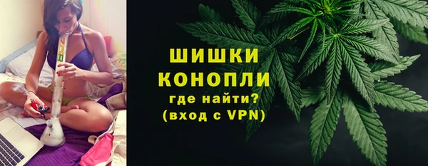 твердый Дмитриев