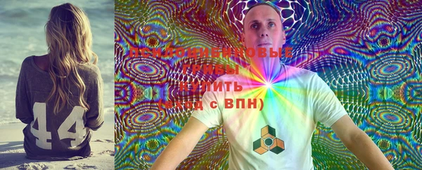 ECSTASY Дмитровск